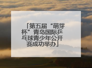 第五届“萌芽杯”青岛国际乒乓球青少年公开赛成功举办