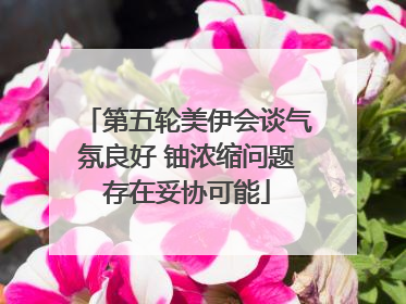 第五轮美伊会谈气氛良好 铀浓缩问题存在妥协可能