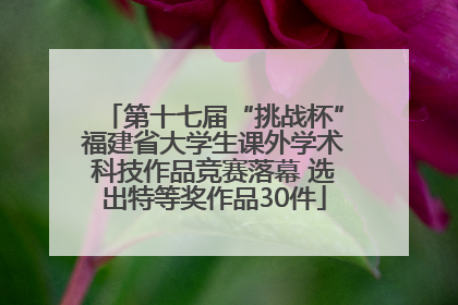 第十七届“挑战杯”福建省大学生课外学术科技作品竞赛落幕 选出特等奖作品30件