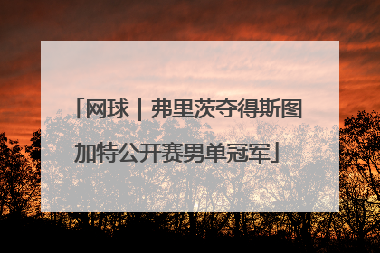 网球｜弗里茨夺得斯图加特公开赛男单冠军