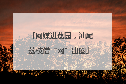 网媒进荔园，汕尾荔枝借“网”出圈