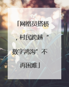 网格员搭桥，村民跨越“数字鸿沟”不再困难