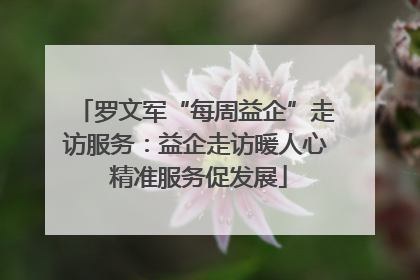 罗文军“每周益企”走访服务：益企走访暖人心 精准服务促发展