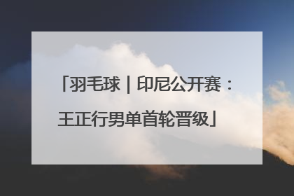 羽毛球｜印尼公开赛：王正行男单首轮晋级