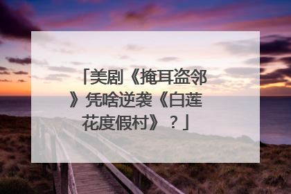 美剧《掩耳盗邻》凭啥逆袭《白莲花度假村》？