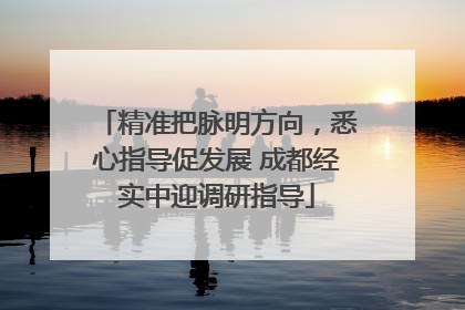 精准把脉明方向，悉心指导促发展 成都经实中迎调研指导