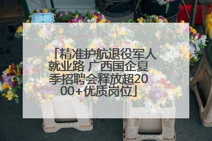 精准护航退役军人就业路 广西国企夏季招聘会释放超2000+优质岗位