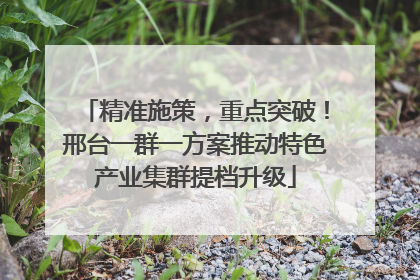 精准施策，重点突破！邢台一群一方案推动特色产业集群提档升级