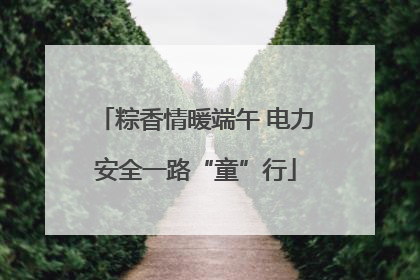 粽香情暖端午 电力安全一路“童”行