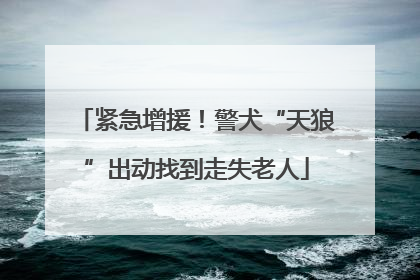 紧急增援！警犬“天狼”出动找到走失老人