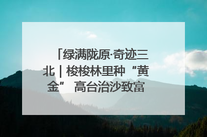 绿满陇原·奇迹三北｜梭梭林里种“黄金” 高台治沙致富很“从容”