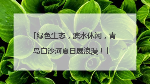 绿色生态，滨水休闲，青岛白沙河夏日展浪漫！