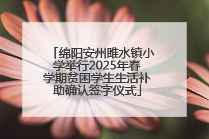 绵阳安州雎水镇小学举行2025年春学期贫困学生生活补助确认签字仪式