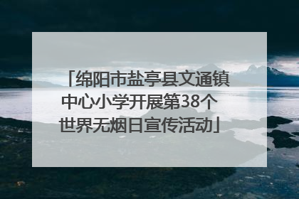 绵阳市盐亭县文通镇中心小学开展第38个世界无烟日宣传活动