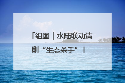 组图｜水陆联动清剿“生态杀手”