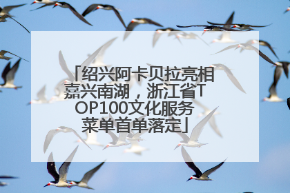 绍兴阿卡贝拉亮相嘉兴南湖，浙江省TOP100文化服务菜单首单落定
