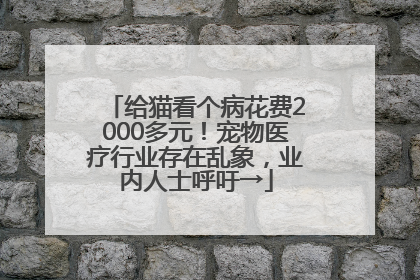 给猫看个病花费2000多元！宠物医疗行业存在乱象，业内人士呼吁→