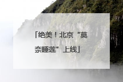 绝美！北京“莫奈睡莲”上线