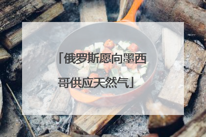 俄罗斯愿向墨西哥供应天然气