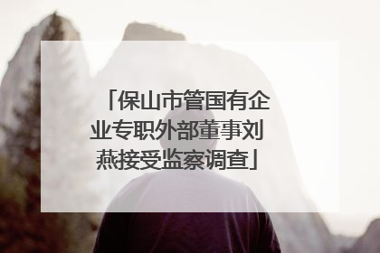 保山市管国有企业专职外部董事刘燕接受监察调查