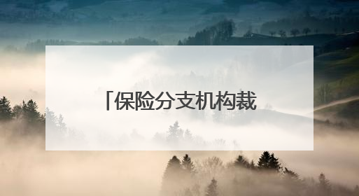 保险分支机构裁撤大潮下，谁在逆势开“分店”