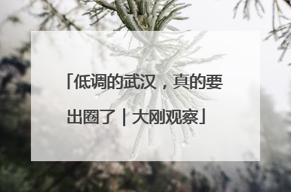 低调的武汉，真的要出圈了｜大刚观察
