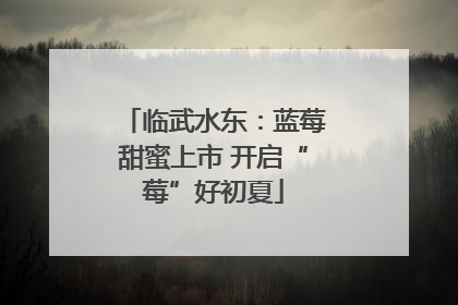 临武水东：蓝莓甜蜜上市 开启“莓”好初夏