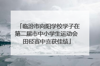 临汾市向阳学校学子在第二届市中小学生运动会田径赛中喜获佳绩