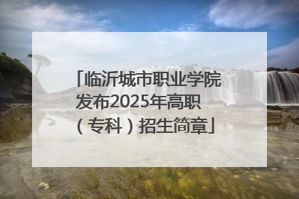 临沂城市职业学院发布2025年高职（专科）招生简章