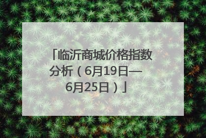 临沂商城价格指数分析（6月19日—6月25日）