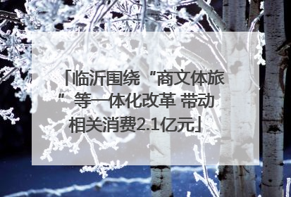 临沂围绕“商文体旅”等一体化改革 带动相关消费2.1亿元