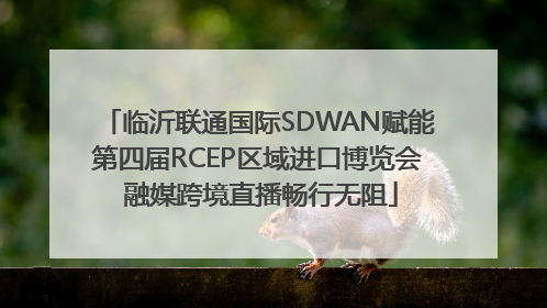 临沂联通国际SDWAN赋能第四届RCEP区域进口博览会 融媒跨境直播畅行无阻
