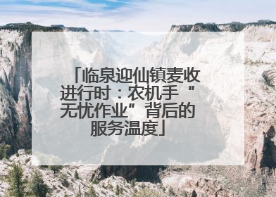临泉迎仙镇麦收进行时：农机手“无忧作业”背后的服务温度