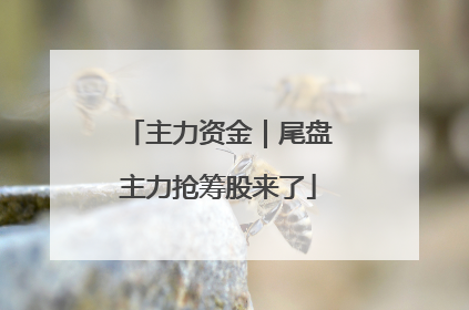 主力资金｜尾盘主力抢筹股来了