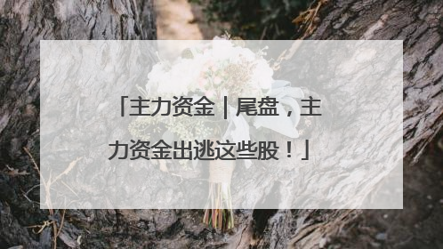 主力资金｜尾盘，主力资金出逃这些股！