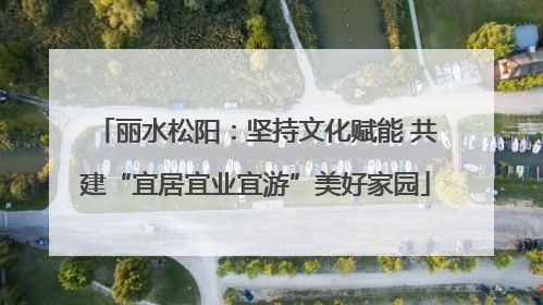 丽水松阳：坚持文化赋能 共建“宜居宜业宜游”美好家园