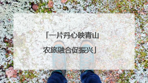一片丹心映青山 农旅融合促振兴