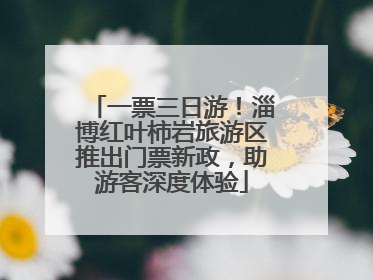 一票三日游！淄博红叶柿岩旅游区推出门票新政，助游客深度体验