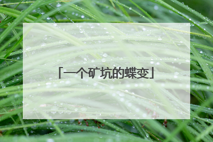 一个矿坑的蝶变