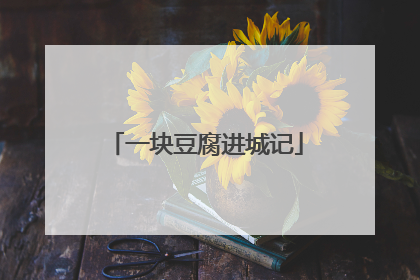 一块豆腐进城记
