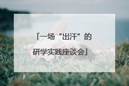 一场“出汗”的研学实践座谈会