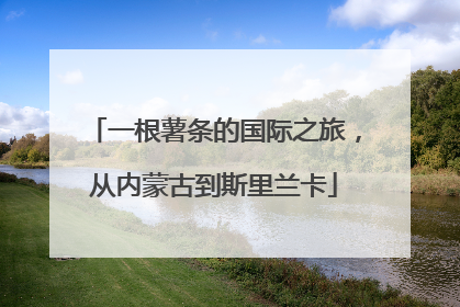 一根薯条的国际之旅，从内蒙古到斯里兰卡