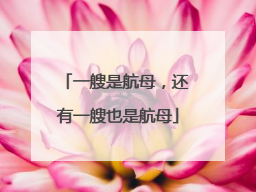 一艘是航母，还有一艘也是航母
