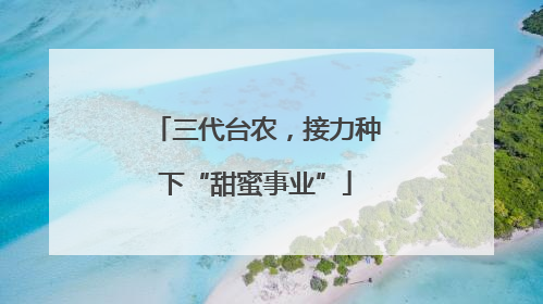 三代台农，接力种下“甜蜜事业”