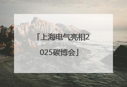 上海电气亮相2025碳博会