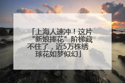 上海人速冲！这片“新娘捧花”阶梯藏不住了，近5万株绣球花如梦似幻
