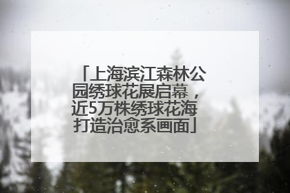 上海滨江森林公园绣球花展启幕，近5万株绣球花海打造治愈系画面