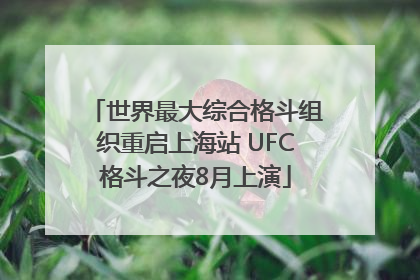 世界最大综合格斗组织重启上海站 UFC格斗之夜8月上演
