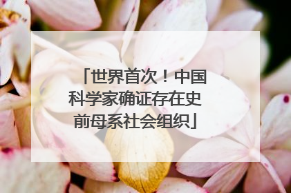 世界首次！中国科学家确证存在史前母系社会组织