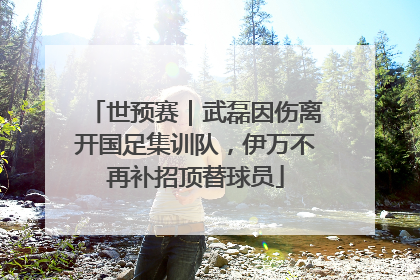 世预赛｜武磊因伤离开国足集训队，伊万不再补招顶替球员